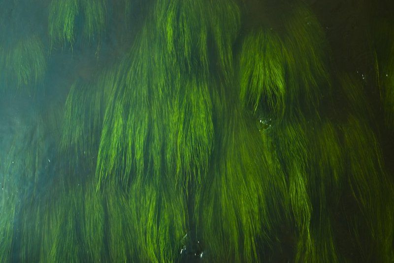 Гипнозphoto preview