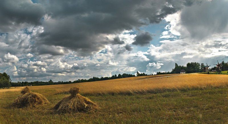 полевая...photo preview