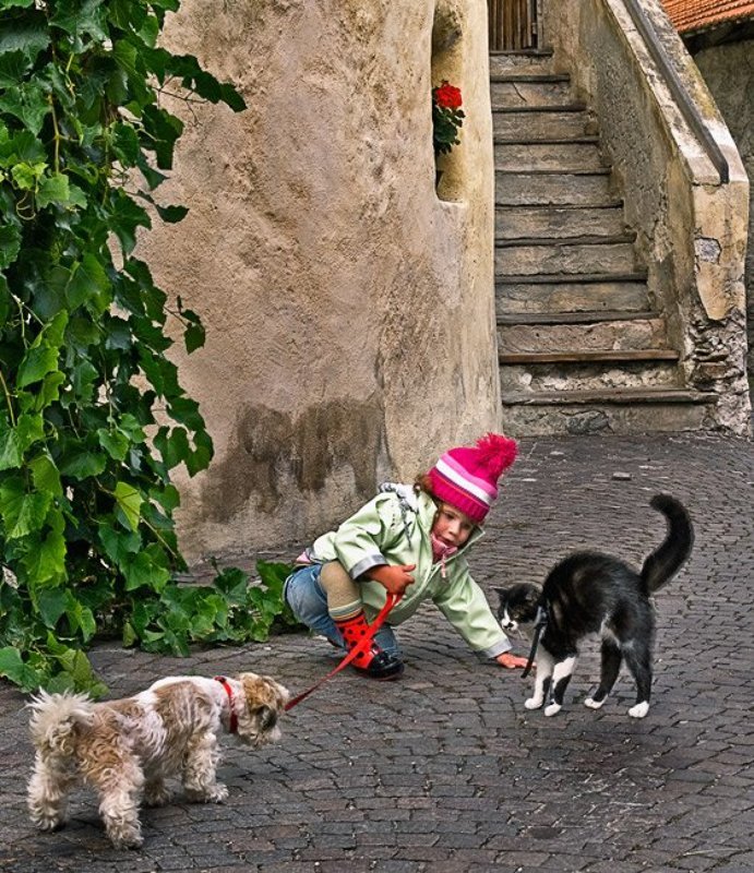 Миротворецphoto preview