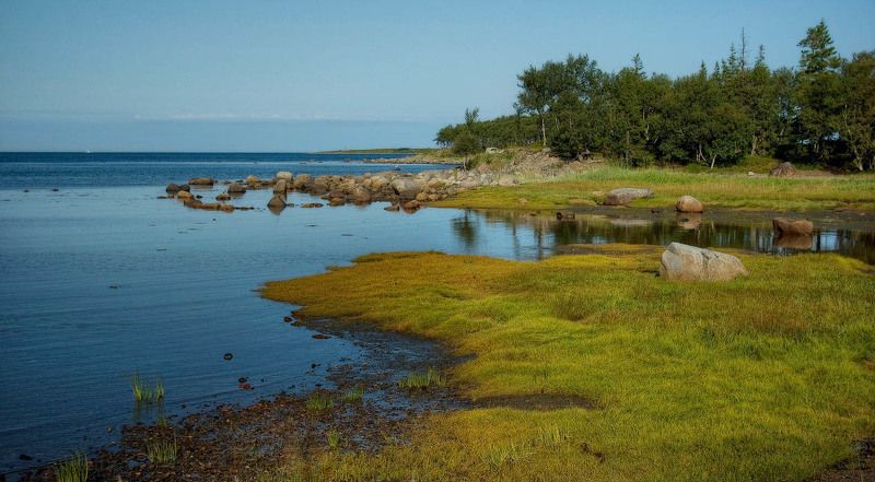белое море, соловки, камни Беломорский пейзаж со спящим львомphoto preview