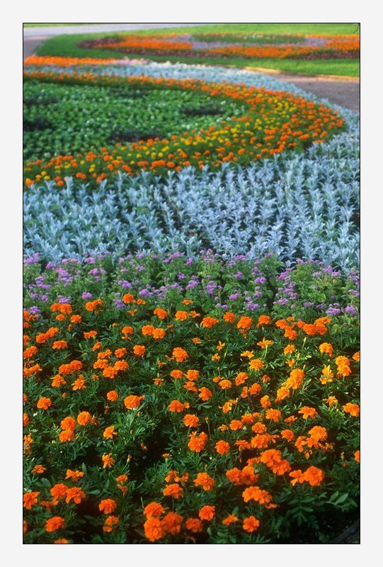 В Воронцовском паркеphoto preview