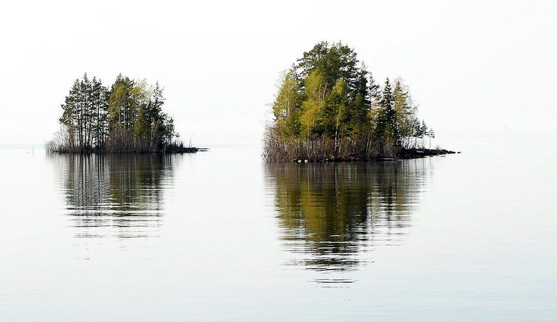 молокоphoto preview