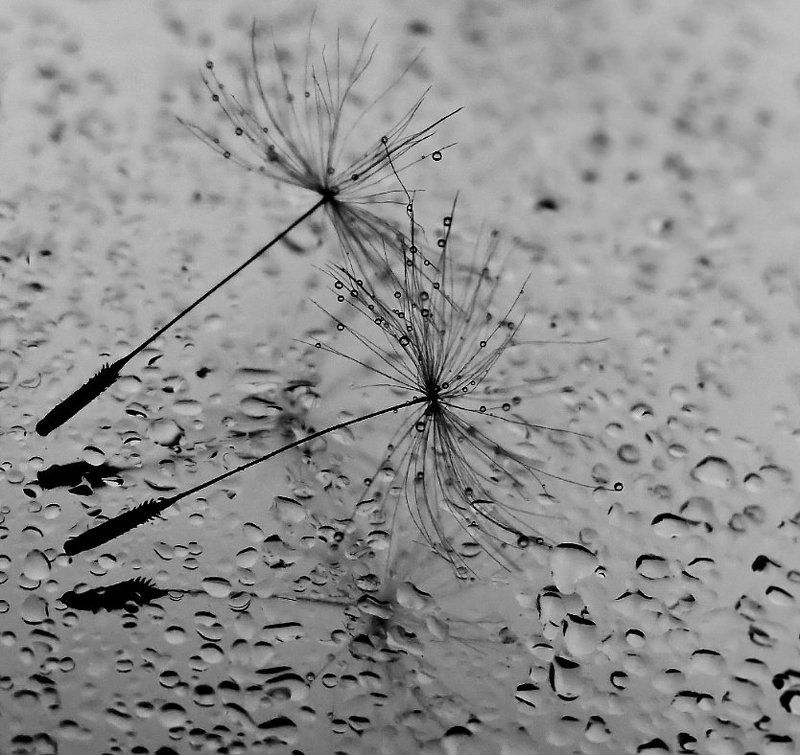 ......dance with me.......photo preview