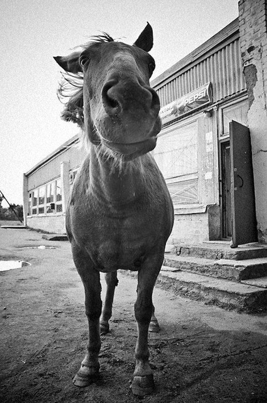 * * * * *photo preview