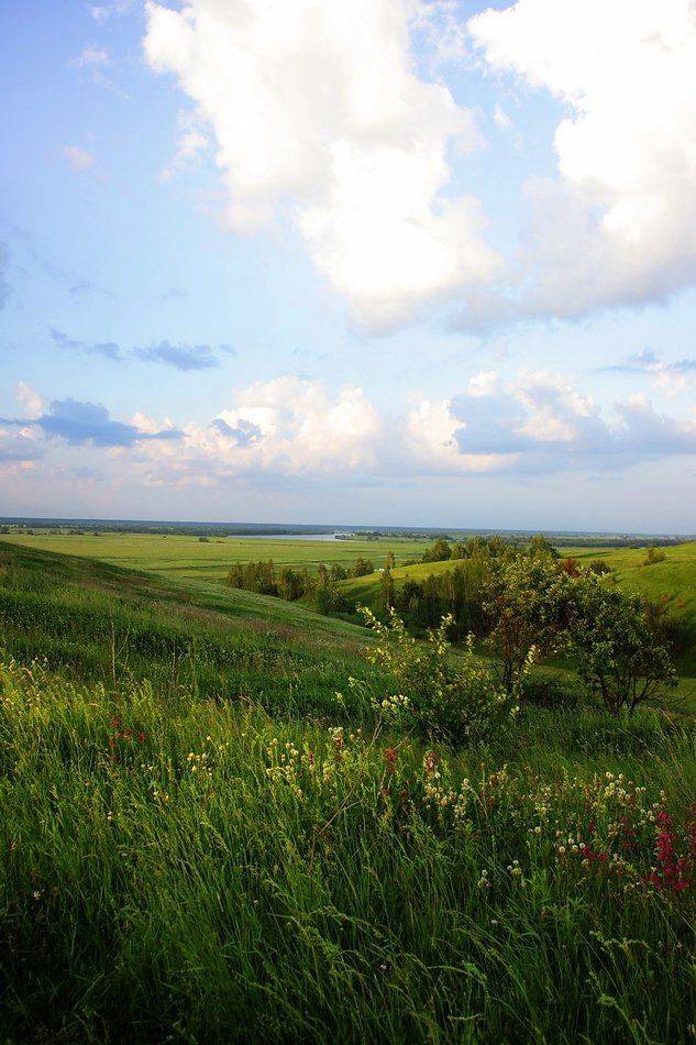 Есенинские просторы. Автор: Lilia Tkachenko , Lilia Tkachenko