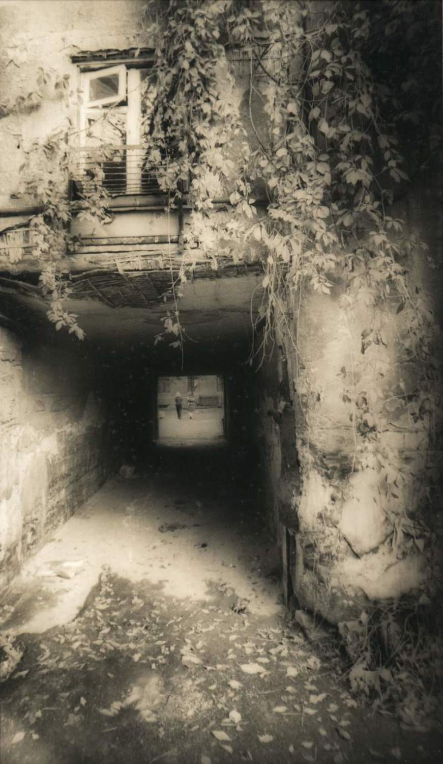 окна, дворики, виноград, Valentin Sichinskiy