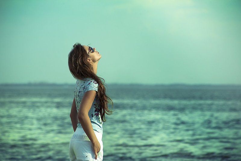 Чайкаphoto preview