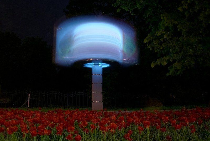 Чтоб цвели тюльпаны ночьюphoto preview