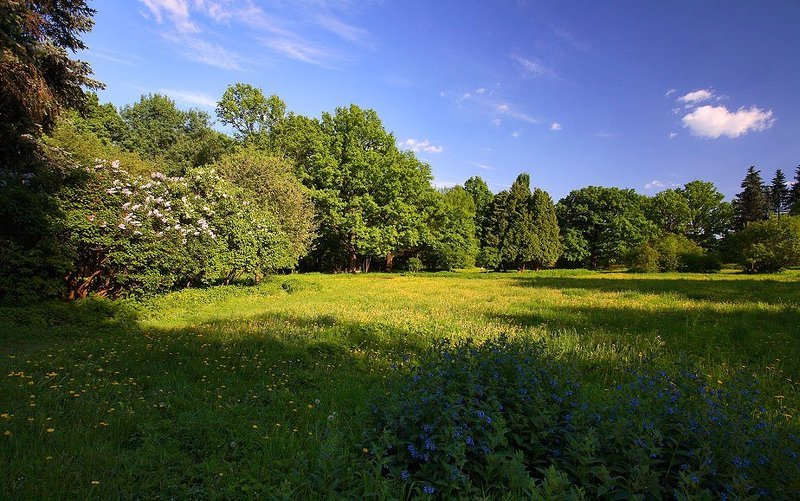 ботанический, сад ***photo preview