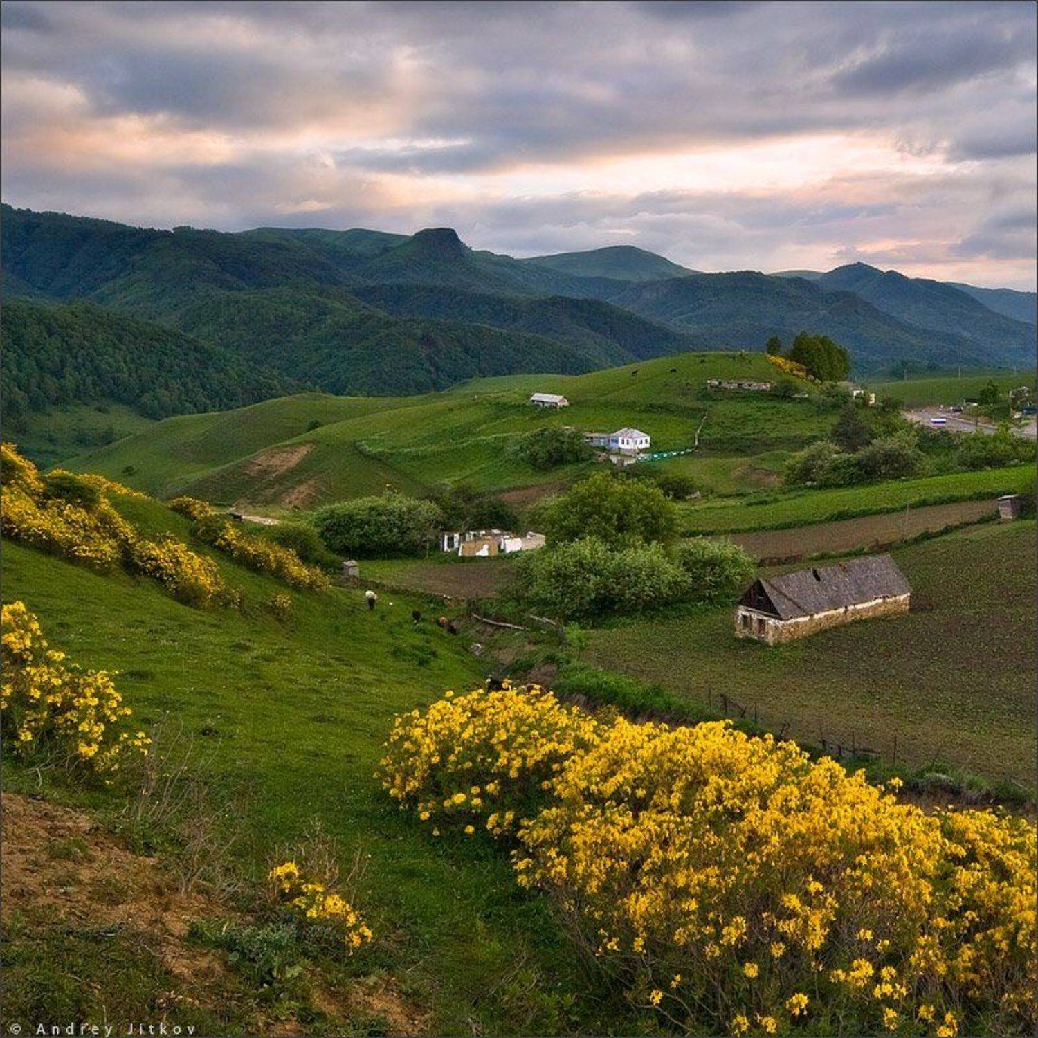 Мара. Автор: Андрей Житков , Андрей Житков