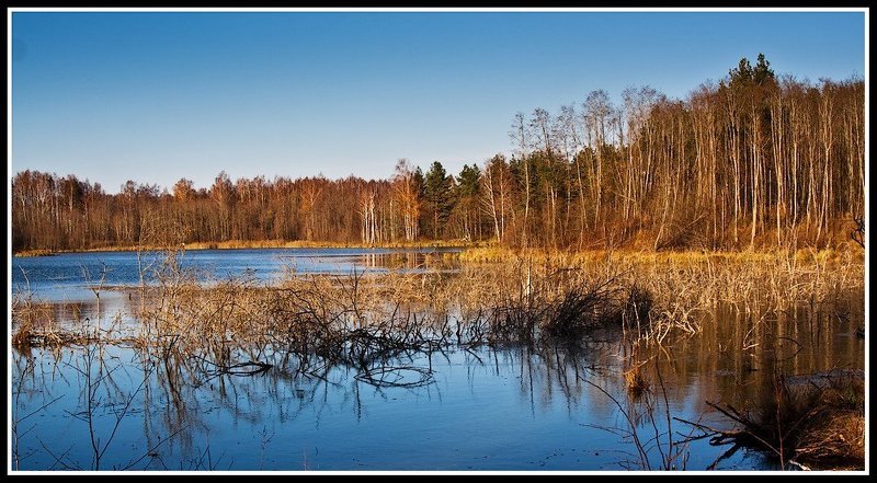 unilostphoto preview