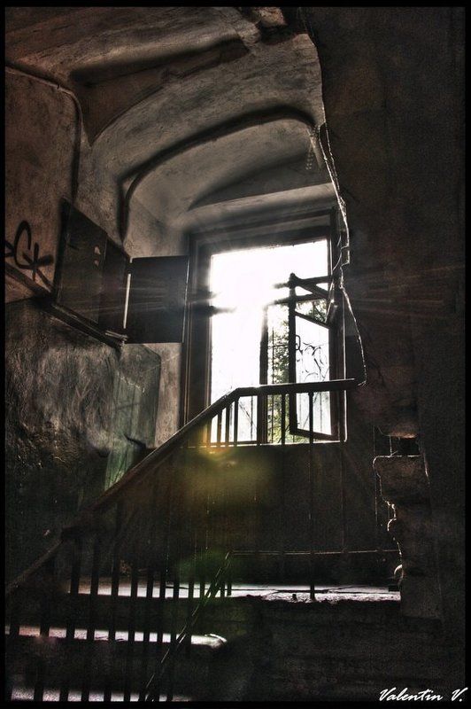 в питерском доме на сеннойphoto preview