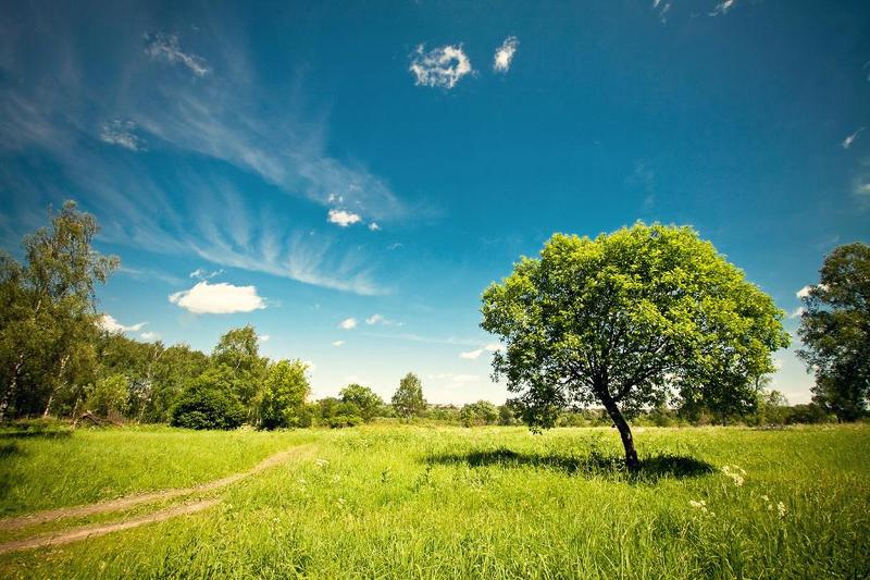 однажды летомphoto preview