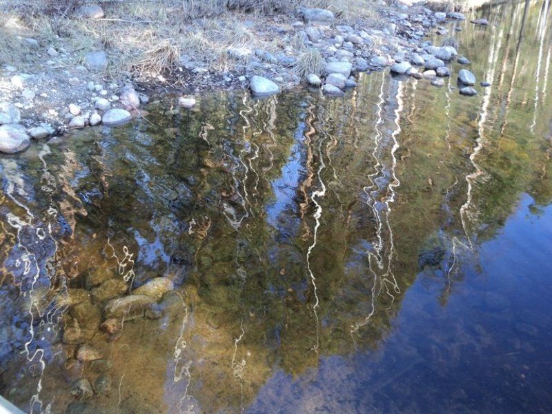 весна photo preview