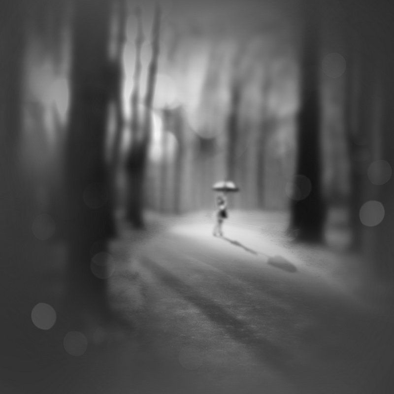 Лесные фантазииphoto preview