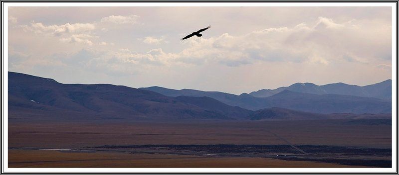 тибет, кайлас Страж Шамбалыphoto preview