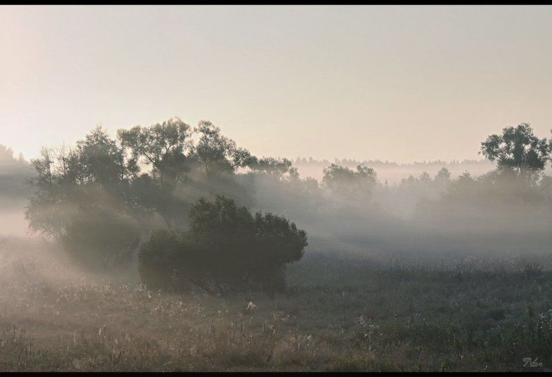 Ёжика не искатЬ...photo preview