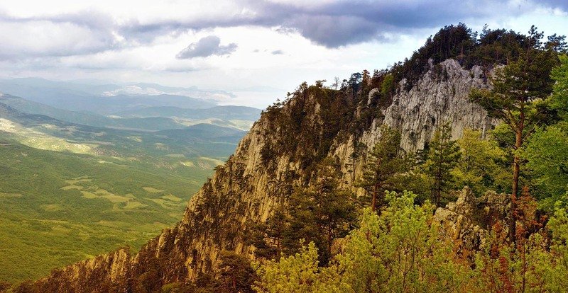 И на камнях растут деревьяphoto preview