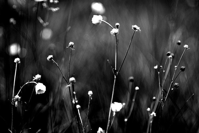 b&w dream... unchanged...photo preview