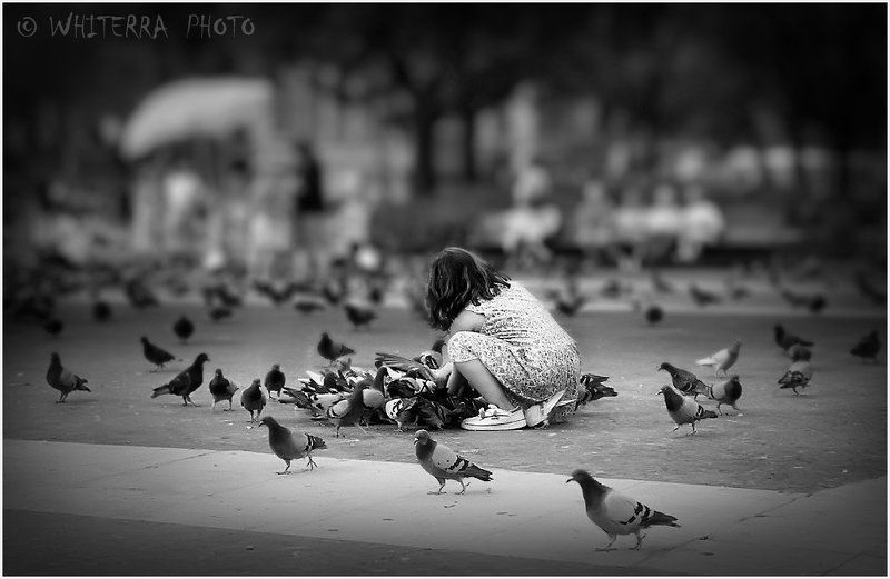 девочка, голуби, барселона Девочка и голубиphoto preview
