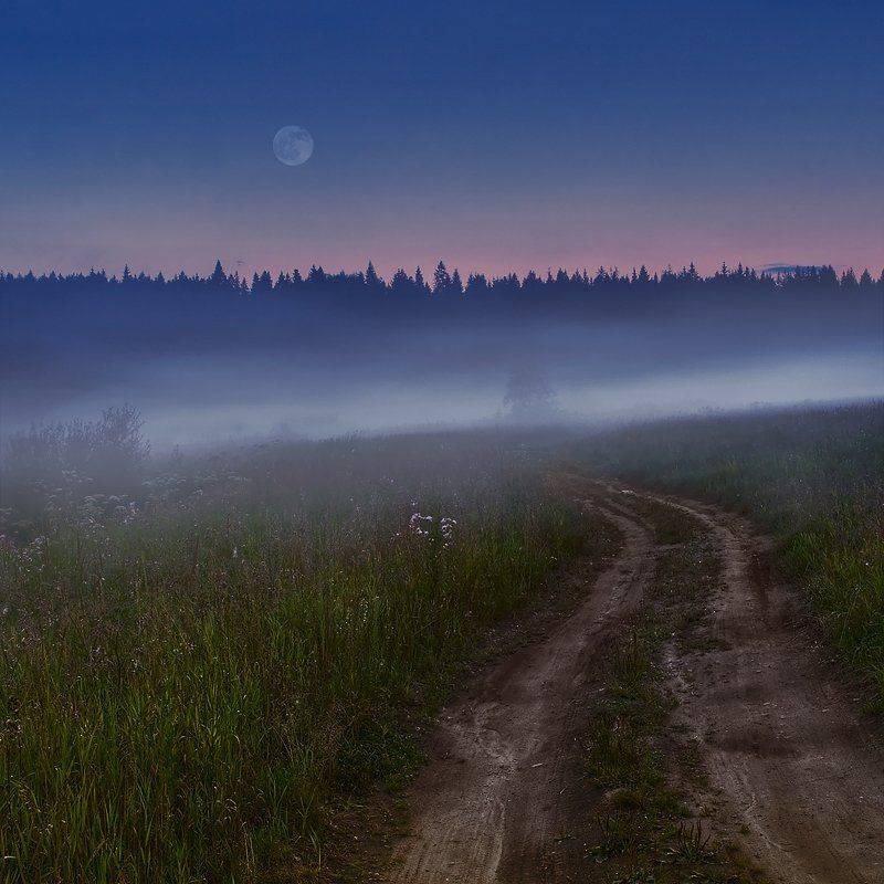 Дорога в никуда.... Автор: Oleg Dmitriev поле, вечер, луна, дорога, трава, пейзаж, Oleg Dmitriev