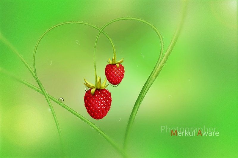 Love is...photo preview