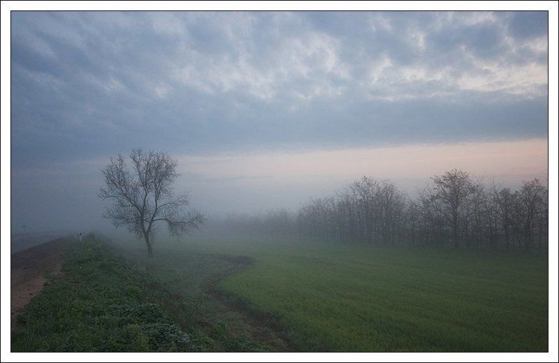 туман, утро, крым Сонное утро...photo preview