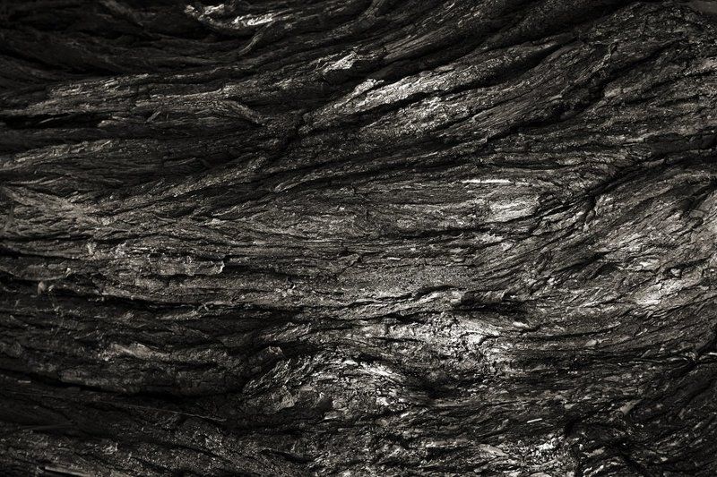 Мудростьphoto preview