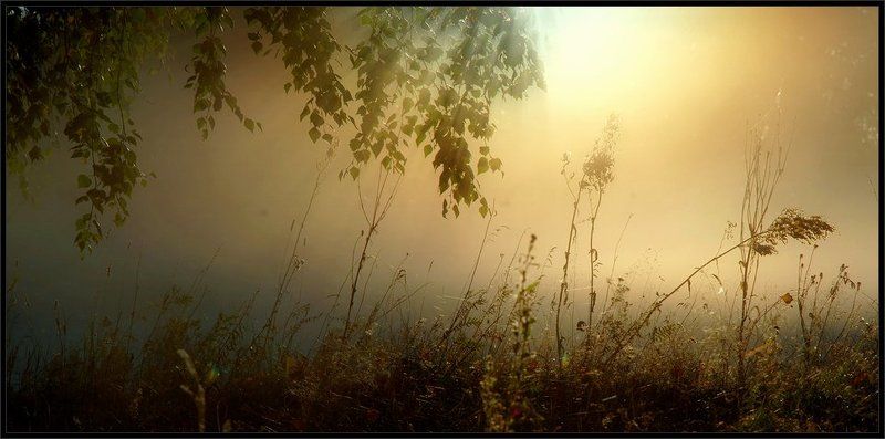 когда ты утром тихо встанешь...photo preview