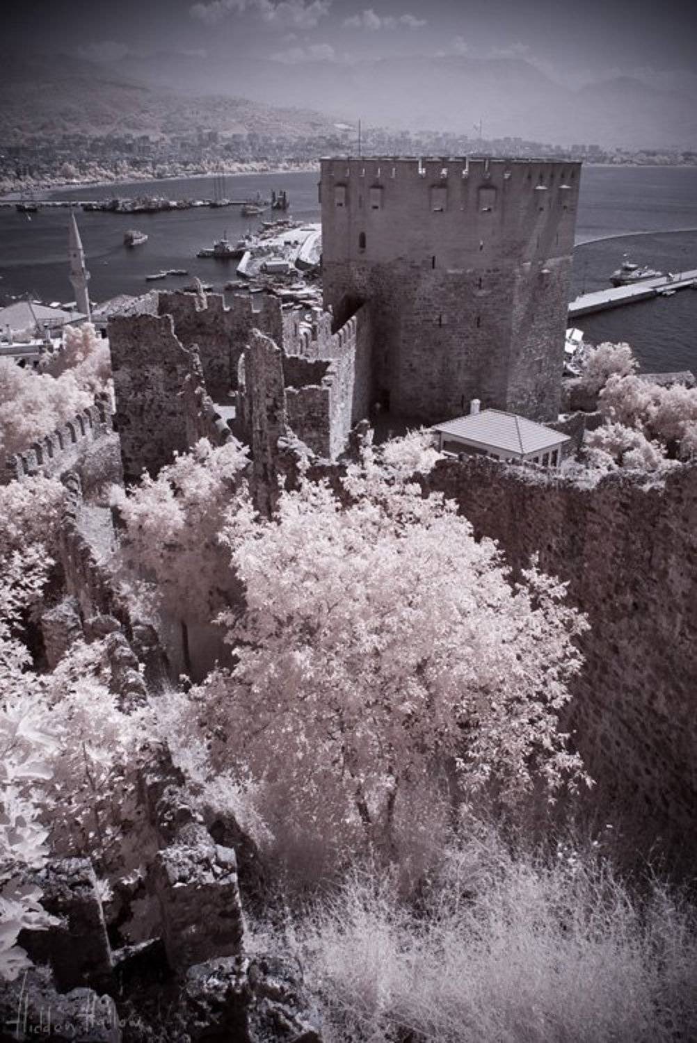 Red Tower. Автор: Кирилл Кириллов , Кирилл Кириллов