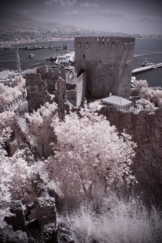 Red Towerphoto preview