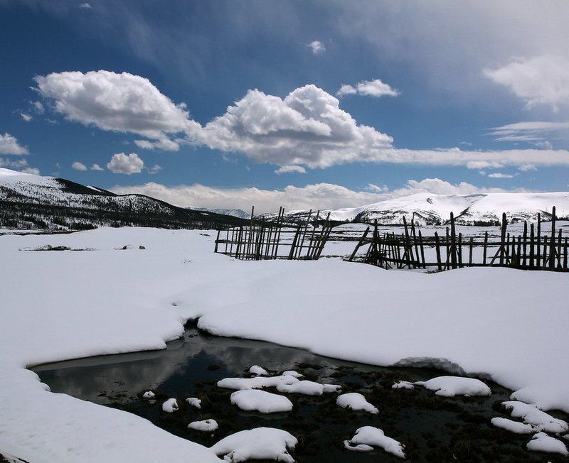 алтай,улаган. Весна на Алтае... .Через неделю лето...*photo preview