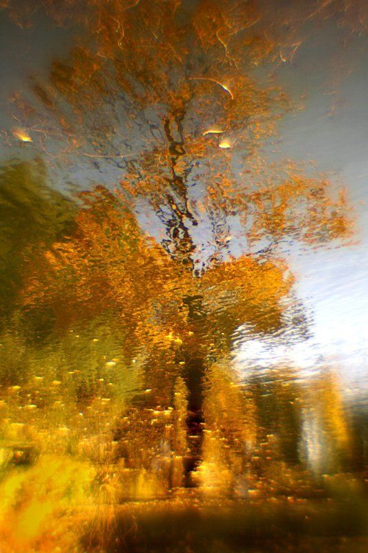 золотая осеньphoto preview