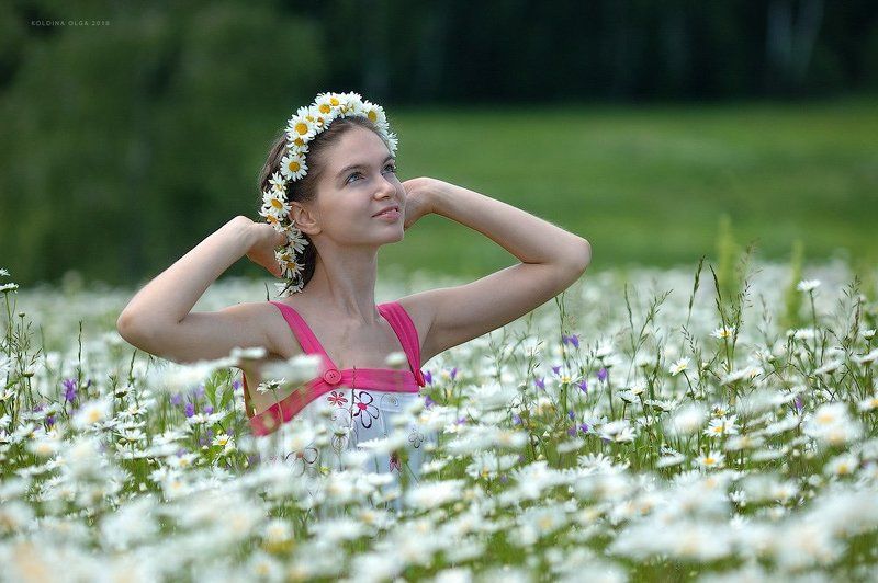 Ромашкиphoto preview