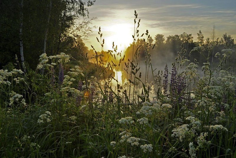 а зори здесь тихиеphoto preview