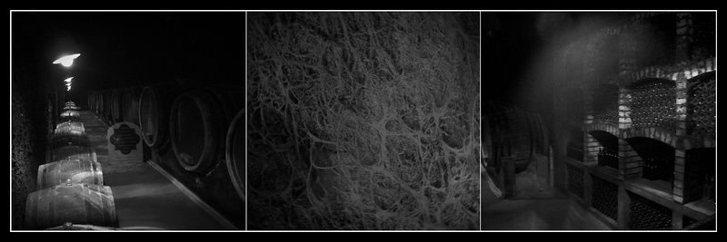 гордость виноделаphoto preview