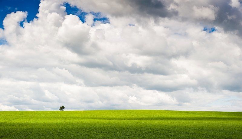 земля, трава, поле, облака, небо, дерево, одинокий, тени Земля и небоphoto preview