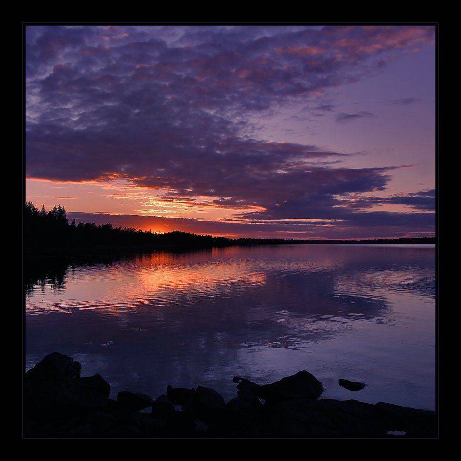 карелия, лето, озеро, закат, камни, берег, лес, пейзаж, Oleg Dmitriev