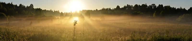 рассвет, лес, луг, солнце, туман Рассветнаяphoto preview