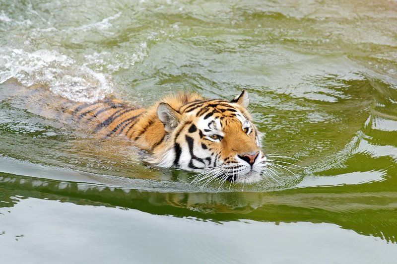 Неземное блаженство...photo preview