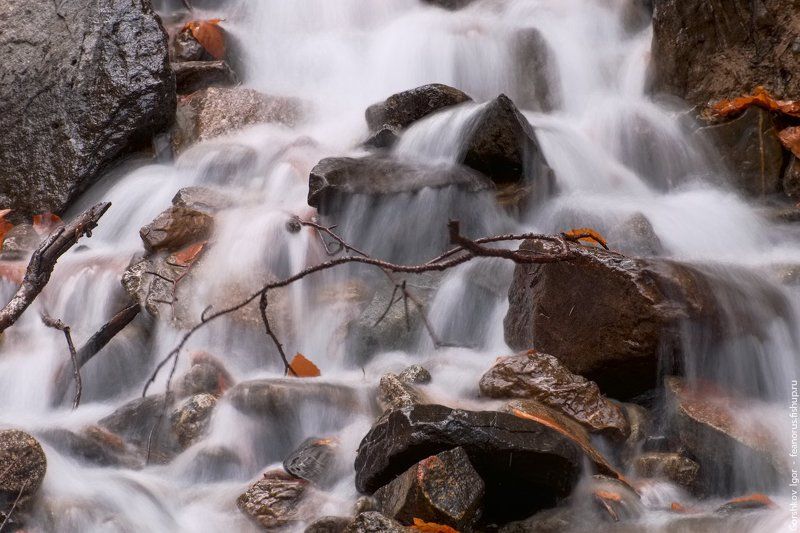 ручей, горы,каказ,домбай,лес, длинная выдержка, вода, водопад, соень Горный осенний ручейphoto preview