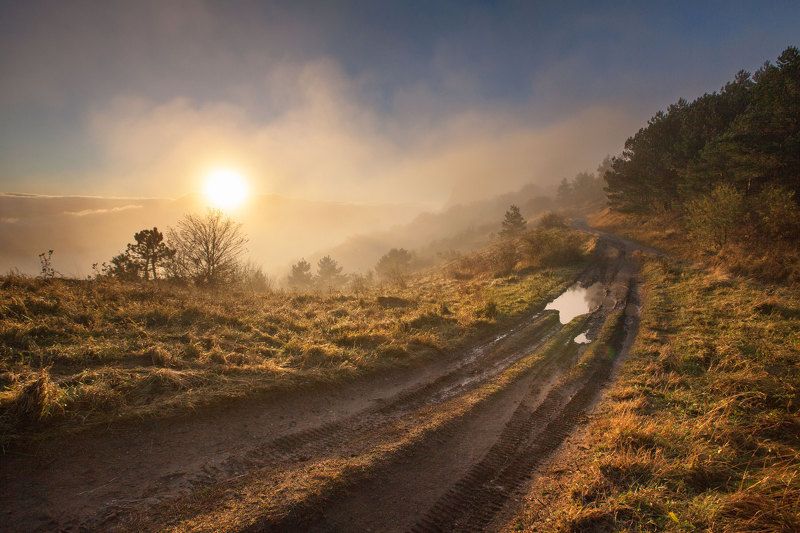 Золотой закатphoto preview