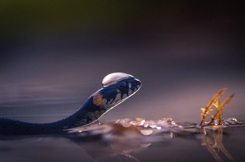 В кепочке фото превью