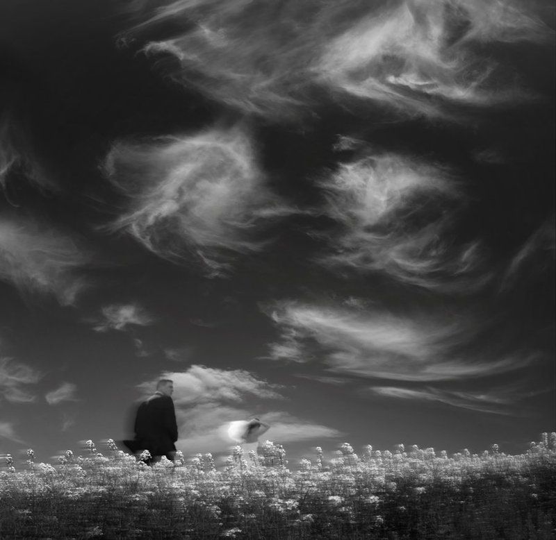 Gone with the Windphoto preview