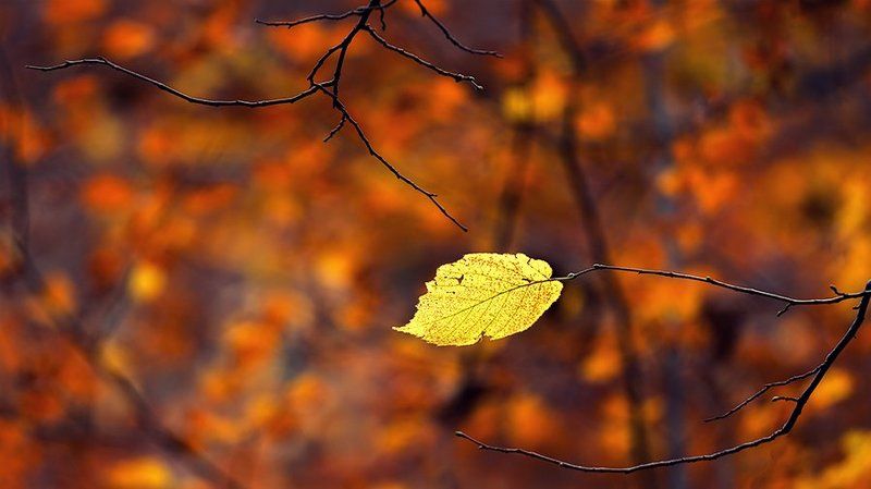 Я все еще здесь   ( I\'m still here)photo preview