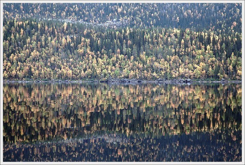 Карелия. Осенний гобелен.photo preview