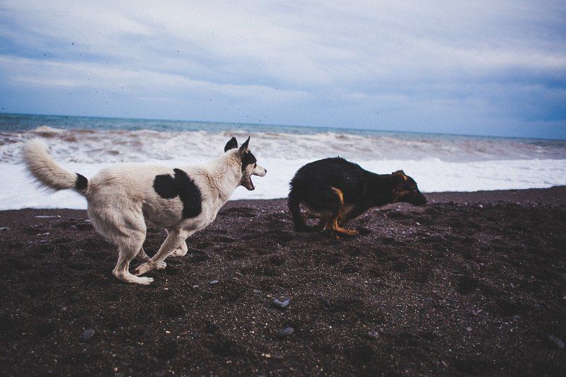 Любить у моряphoto preview