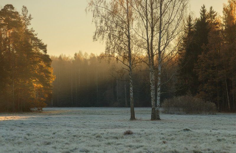 осень, павловск, павловский парк, питер Осень с привкусом зимы. . . .photo preview