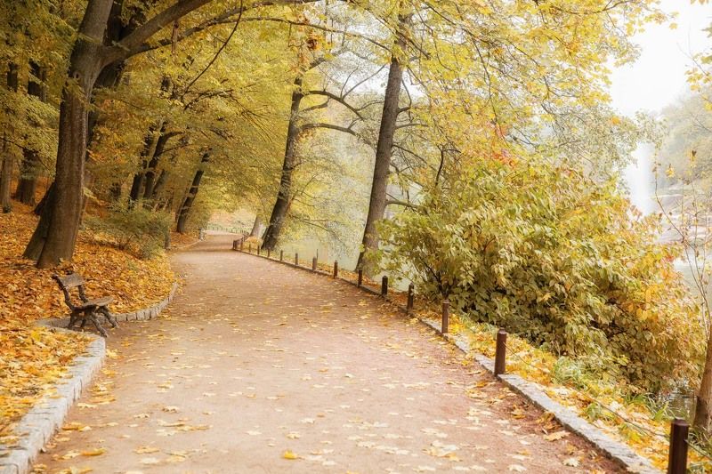 осень, парк, Умань, Софиевка, листья, аллея, скамейка Осенний променад...photo preview