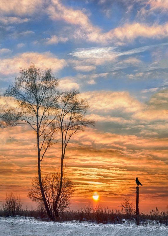 Утрення песняphoto preview